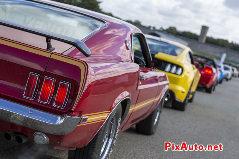 3e US Motor Show, Des Mustang Colorees